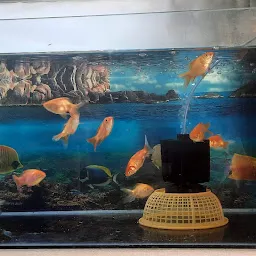 Shree Aquariums