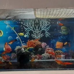 Shree Aquariums