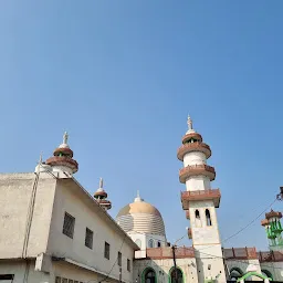 Shree Banjari Mata Mandir