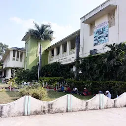 Shree Binzani City College