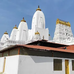 Shree Dwadasha Jyotirlinga Shiva Temple