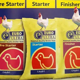 SHREE FOOD & FEED COMPANY (Poultry farm & poultry feed services) Nutrikraft Poultry feeds