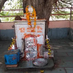 Shree Kodamdesar Bheru Ji Ka Mandir