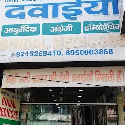 Shree Krishna Ayurvedic Store