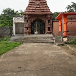 Shree Lingaraj Mahapraphu Shiva Temple