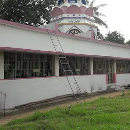 Shree Lingaraj Mahapraphu Shiva Temple