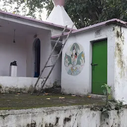 Shree Lingaraj Mahapraphu Shiva Temple