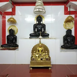 Shree Mallinath Neminath- Mama Bhanja Digamber Jain Temple, Dungarpur