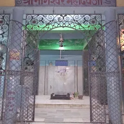 Shree Nageshwar Mahadev Temple