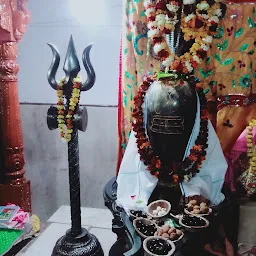 Shree Radha Krishan Dev Mandir, Vrindavan West
