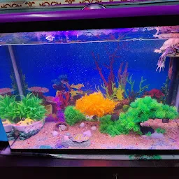 Shree SaiNath Fisheries AQUARIUM & PET SHOP