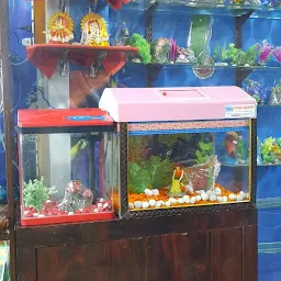 Shree Sarkar Aquarium