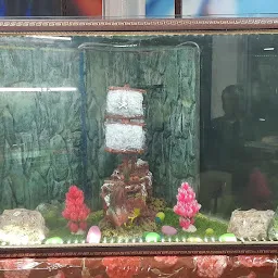 Shree Sarkar Aquarium