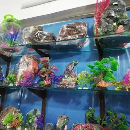 Shree Sarkar Aquarium