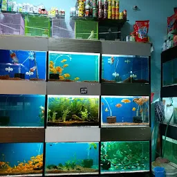 Shree Shivashakthi Pets & Aquarium