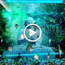 Shree Shivashakthi Pets & Aquarium