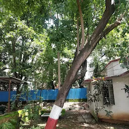 Shree Shree Ma Anandmayee Ashram