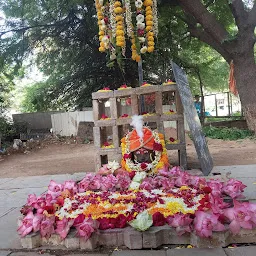 Shree Somnath Mahadev