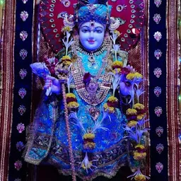 Shree Swaminarayan Mandir, Makarpura, Vadodara