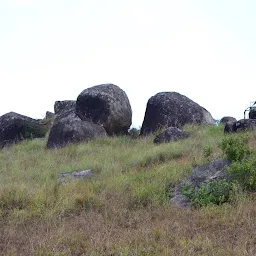 Shree Venugopalaswamy Temple