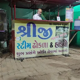 Shreeji Dhokla & Handvo