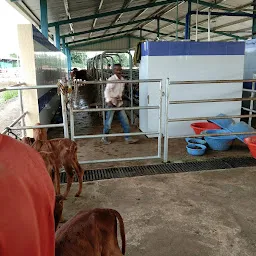 Shreelalji Dairy Office