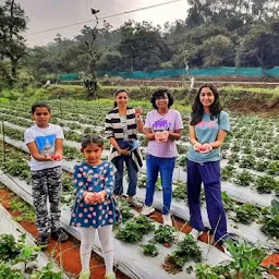 Shreyas strawberry farm