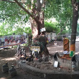 Shri Anandeswaran Temple