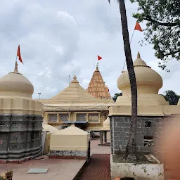 Shri Avdhoot Maharaj Nityanand Maharaj Kashi Vishwanath
