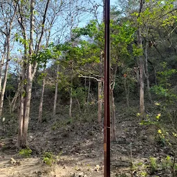 Shri Bilvkeshwar Mahadev Temple