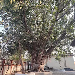 Shri Dadaji Dhuniwale Temple