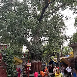 Shri Dakshineshwar Hanuman Mandir