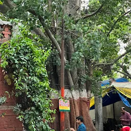 Shri Dakshineshwar Hanuman Mandir