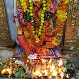 Shri Devi Dandu Maremma Temple