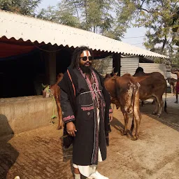 Shri Devraha Baba Gaushala (Rogharan Hanuman Mandir)