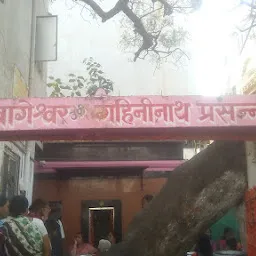 Shri Dnyaneshwar Maharaj Sansthan Comitee