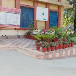 Shri Guru Ram Rai University