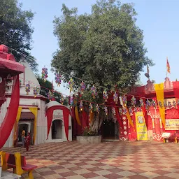 Shri Jayanti Devi Temple And Museum