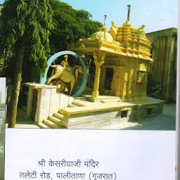 Shri Kesariya Aadinath Jain Tirth