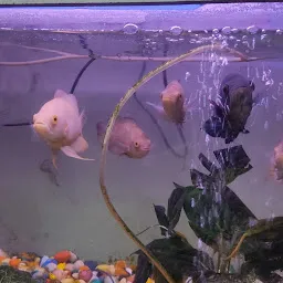 Shri Laxmi Aquarium