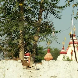 Shri Laxmi Narayan Mandir Temple