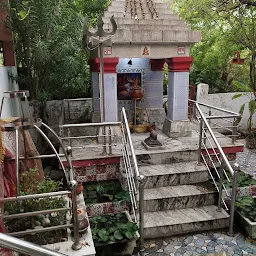 Shri Laxmi Narayan Mandir Temple