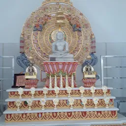 Shri Mahaveer digambar jain temple