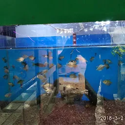 Shri Manasa Aquariums And Pets