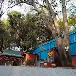 Shri Mrutyunjayeshwar Mandir