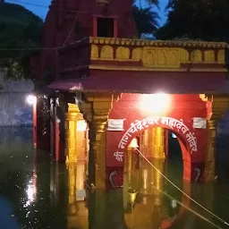 Shri Nag Chandreshwar Mahadev Mandir, Dhar