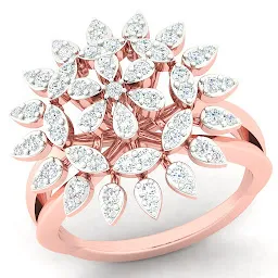 Shri Narayani Diamonds