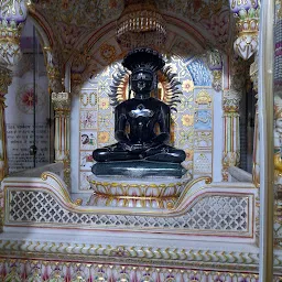 Shri Parshvanath Digamber Jain Mandir Ji Panchayati