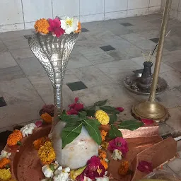 Shri Sarveshwar Mahadev Temple