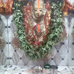 Shri Shri 1008 Chaura Mata Mandir